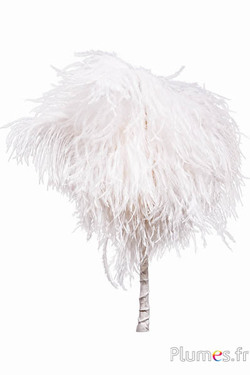Pluim struisvogel - 8 veren, hoogte 25 cm - wit-crème